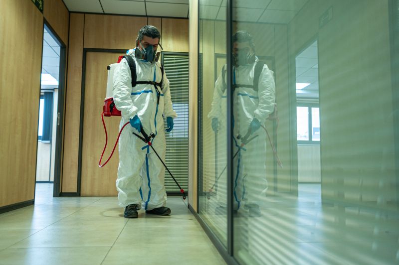 Rat Fumigation Service in Wilmington, DE