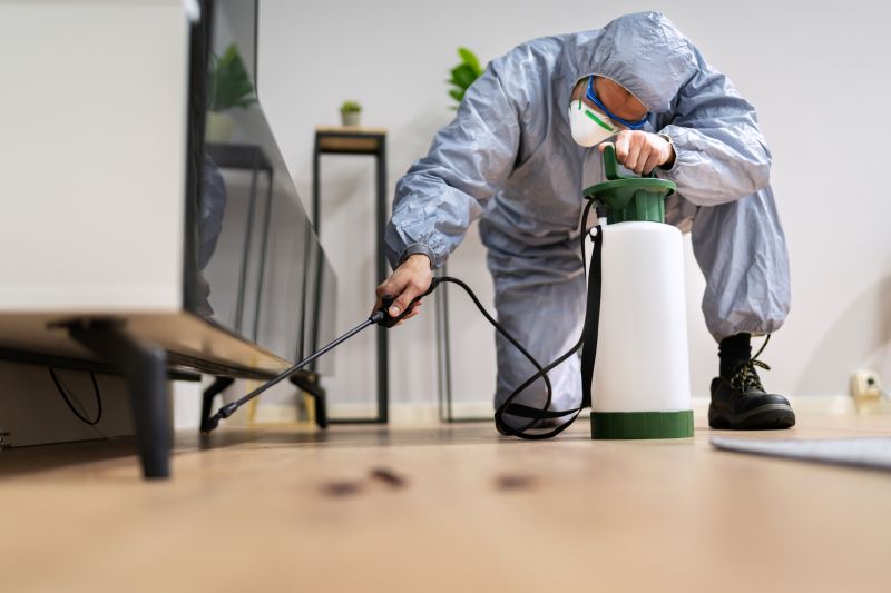 Spider Fumigation Service in Myrtle Beach, SC