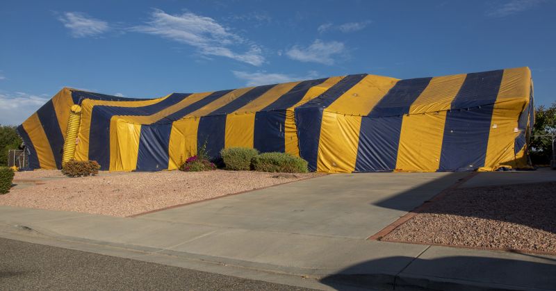 Termite Tenting in Clarksville, TN